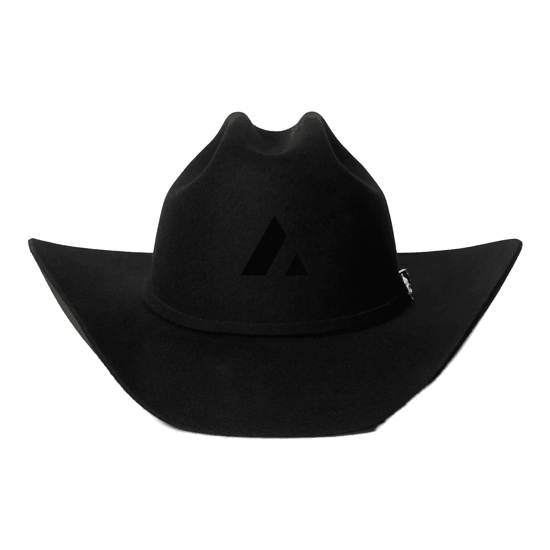 Acme Cowboy Hat