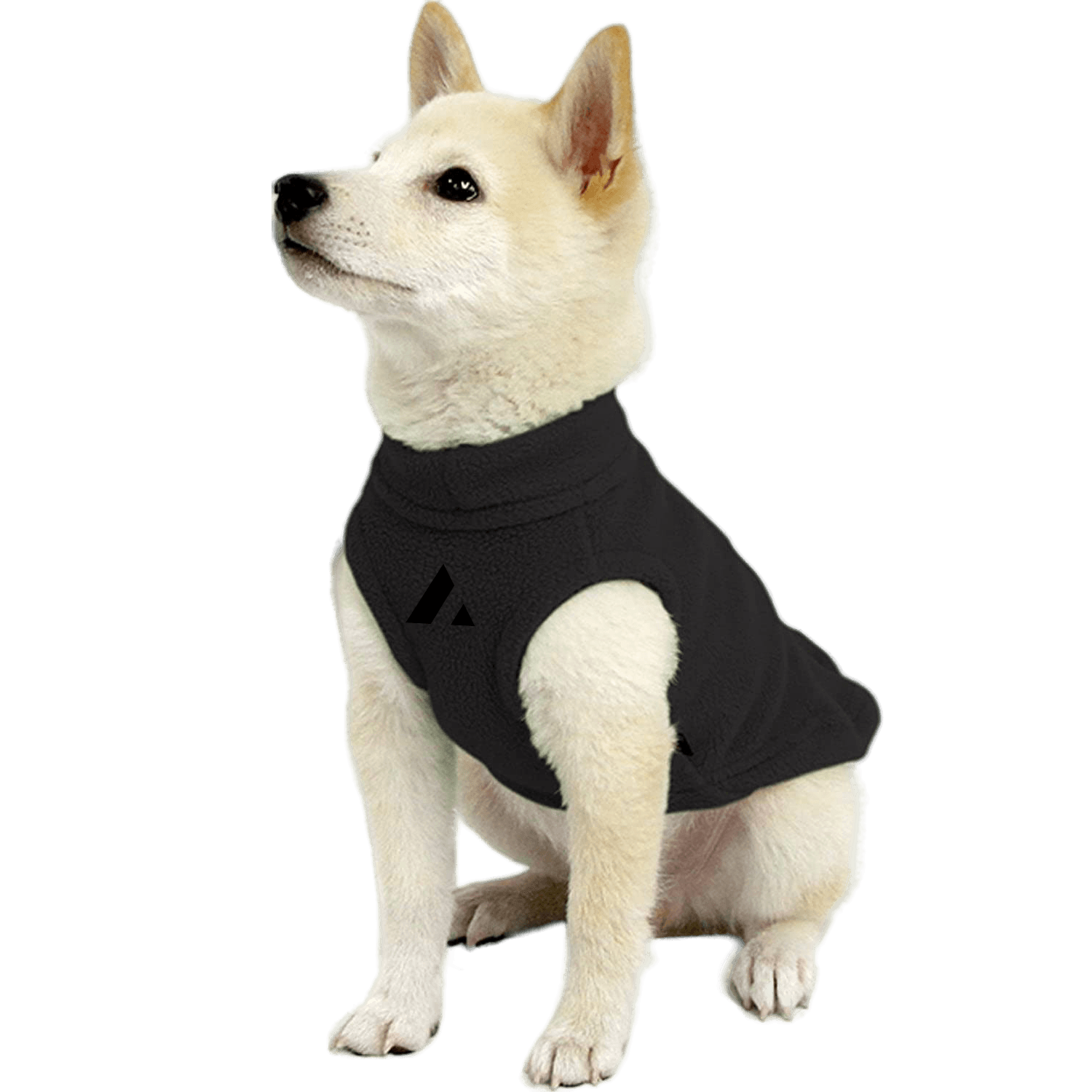 Acme Dog Sweater - dog-sweater-1