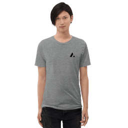 Acme T-Shirt - t-shirt-color-gray